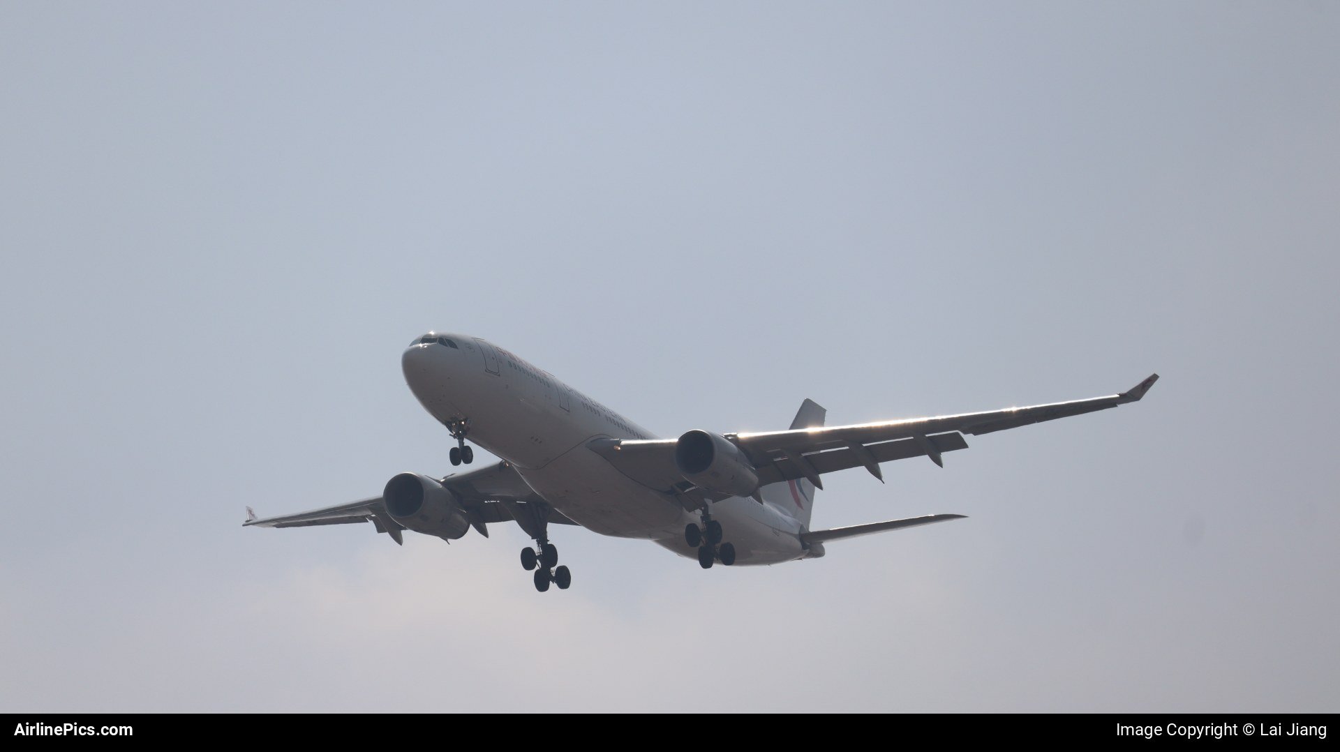 B8231