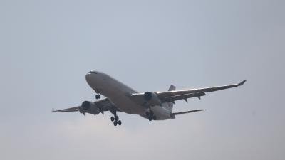 B8231