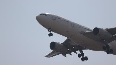 B8231